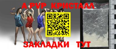 тгк Кингисепп