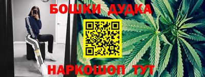 тгк Кингисепп