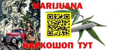 тгк Кингисепп