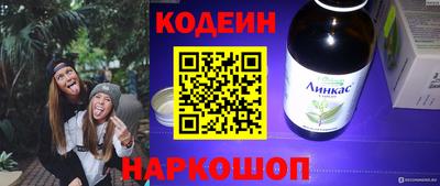 тгк Кингисепп