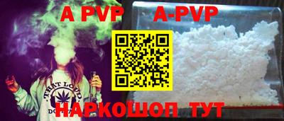 тгк Кингисепп